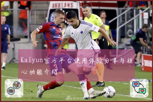 Kaiyun官方平台使用体验分享与核心功能介绍_1